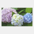 Search for purple hydrangeas stickers Floral
