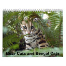 Search for bengal cat calendars Cats
