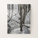 Search for creek photography Water