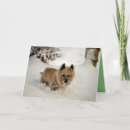 Search for yeti cards Cute