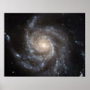 Search for m101 posters Stars