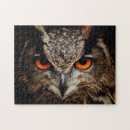 Search for owl eye Modern