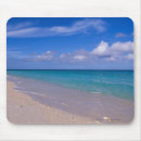 Search for tropical climate mousepads Scene