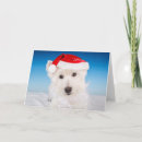 Search for westie christmas cards Holiday animals