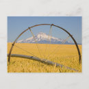 Search for pipe photography Usa