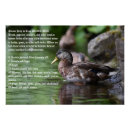 Search for duck art Waterfowl