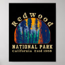 Search for vintage california posters Redwood national park