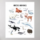 Search for back to school classroom posters Learning