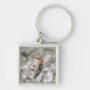 Search for woodpecker key rings Nature
