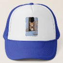 Search for windows hats Cat