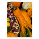 Search for indian corn cards Photography