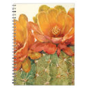 Search for cactus notebooks Watercolor