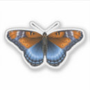 Search for vector butterflies electronics Illustration