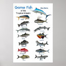 Search for atlantic ocean posters Nature
