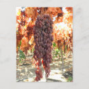 Search for fruit farming postcards Agriculture