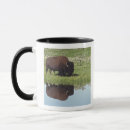 Search for bison bison mugs Water