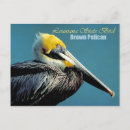 Search for pouch postcards Bird