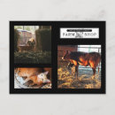 Search for kitchens postcards Animals