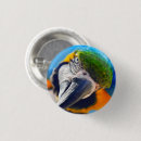 Search for macaws badges Tropical