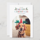 Search for mistletoe christmas cards Modern