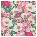 Search for wild rose White