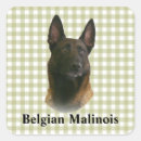 Search for belgian malinois gear stickers Animal
