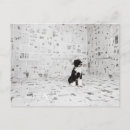 Search for length postcards Horizontal