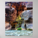 Search for zion national park posters Photography