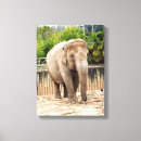 Search for elephant canvas prints Asian