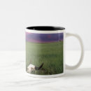 Search for twilight mugs Nobody