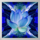 Search for blue lotus posters Water lily