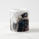 Search for pug mugs Pet