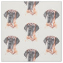 Search for great dane fabric Canine