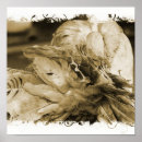 Search for fantail posters Pigeon