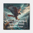 Search for bird of prey magnets Nature photography