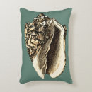 Search for conch shell cushions Shells