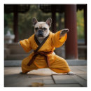 Search for kung posters Shaolin