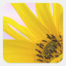 Search for paulson stickers Bloom