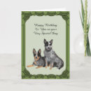 Search for cattle dog birthday cards Animal