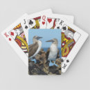 Search for danita delimont playing cards animal