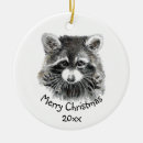 Search for cute racoon christmas tree decorations Wildlife
