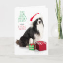 Search for herding cards Cute