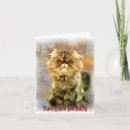 Search for lately cards Cat