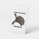 Search for turtle name plates Tortoise