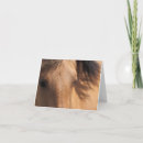 Search for equine seasonal cards Animal