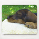 Search for wiener dogs mousepads Animal