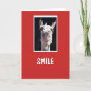 Search for shared birthday cards Happy