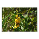 Search for treasure art Nature