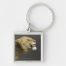 Search for aggression key rings Anger