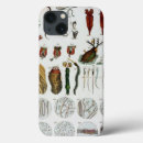 Search for iphone6s iphone cases Xtreme
